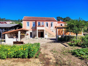 Casa Folhas Novas